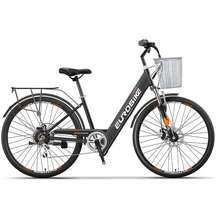 rio electric bike price