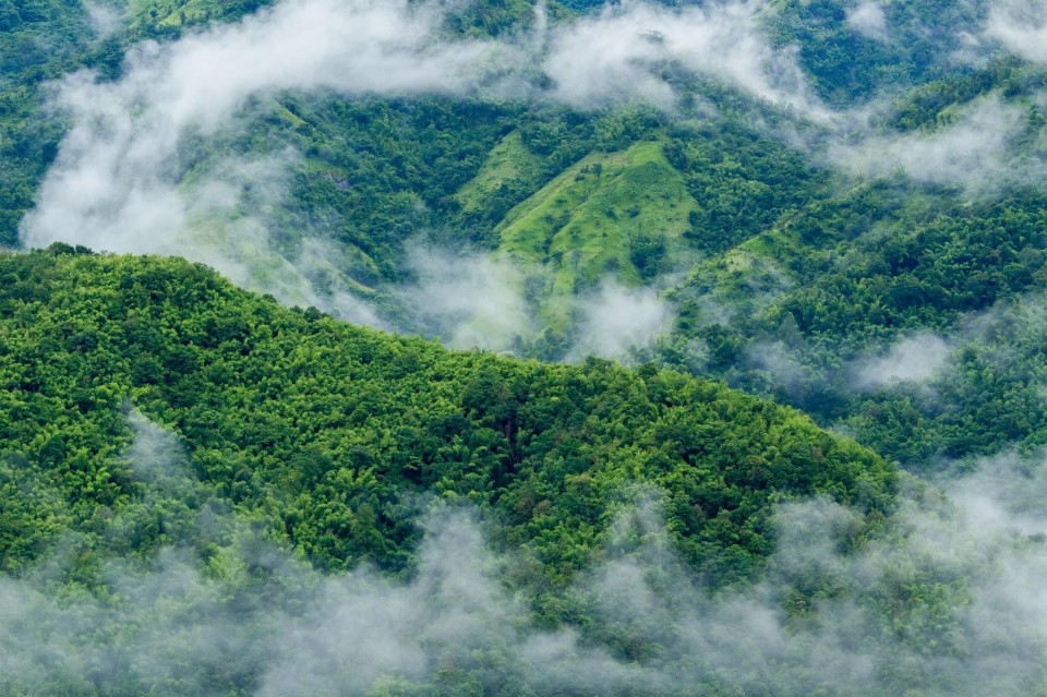 More kitchens soar high above the clouds - Thailand NOW