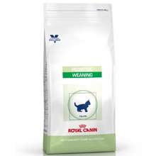 Best Royal Canin Price In Malaysia Harga 2021