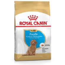 Buy Dog Food From Royal Canin In Malaysia November 2021